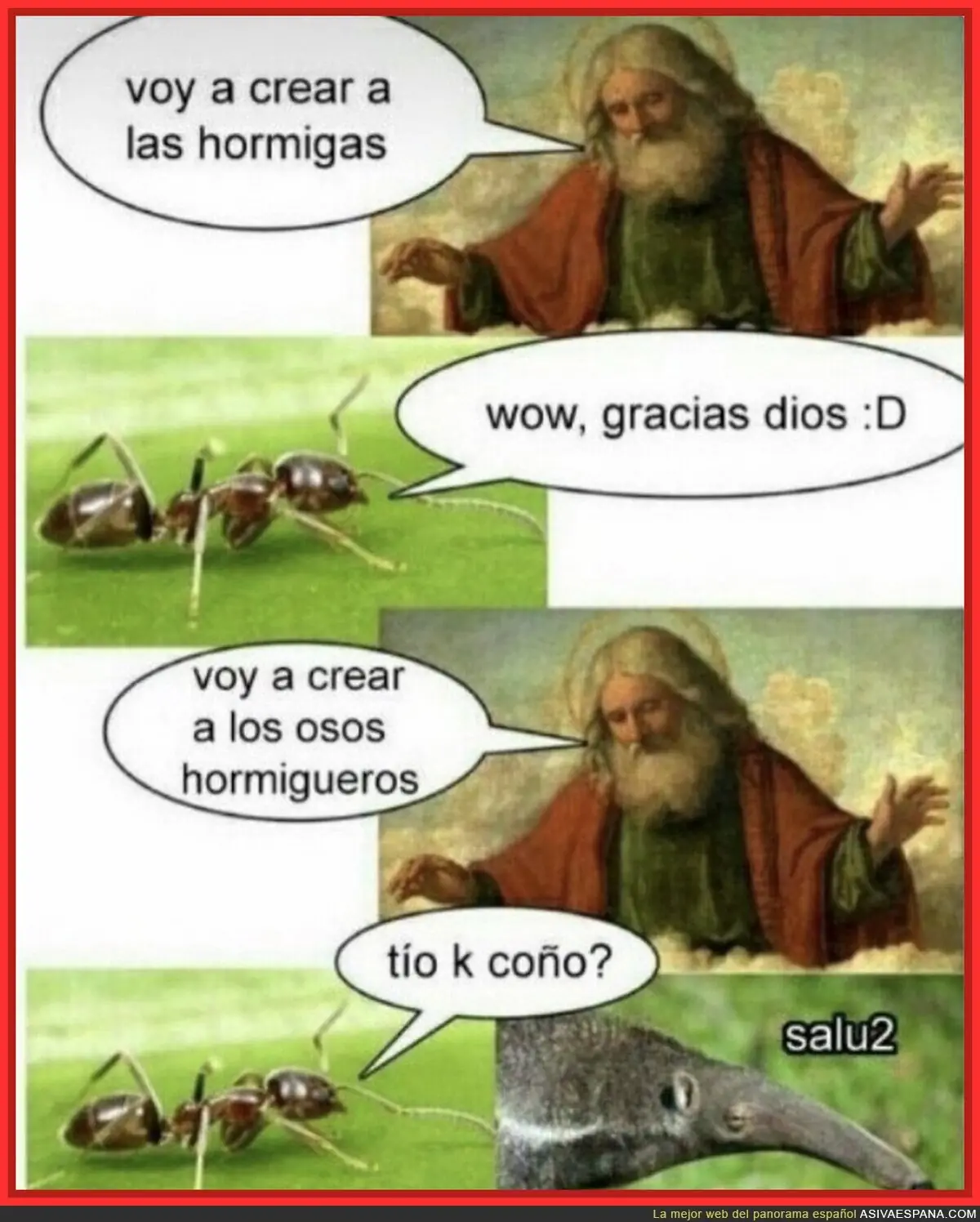meme del oso hormiguero
